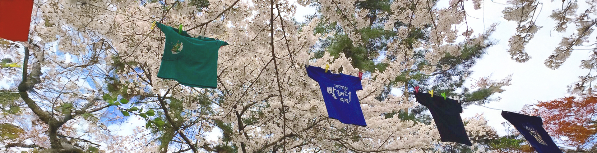 대구대표이미지1