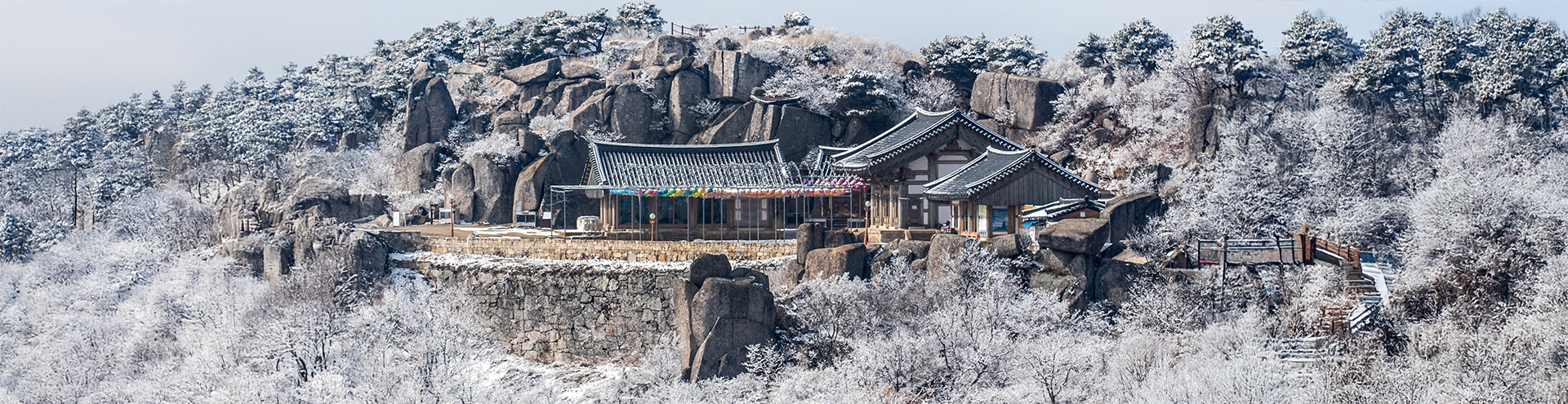 대구대표이미지1